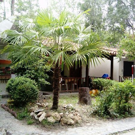 Hotel Camping Elizabeth à Kalyvia Varikou Extérieur photo